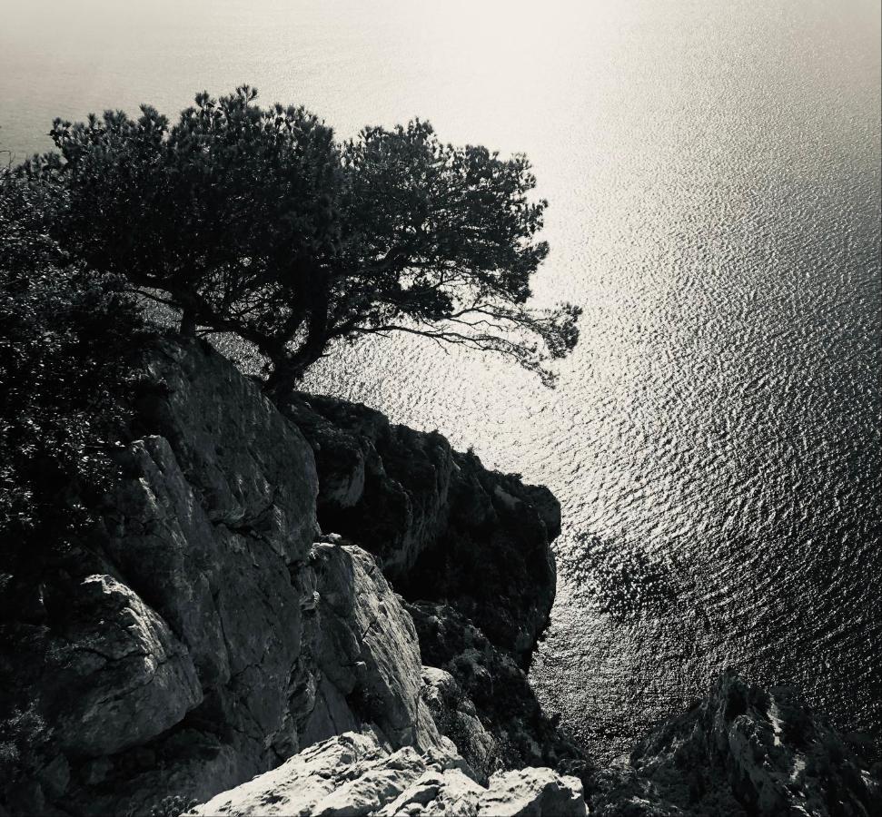 Azur Cassis Daire Dış mekan fotoğraf