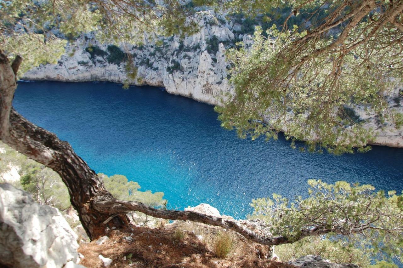 Azur Cassis Daire Dış mekan fotoğraf